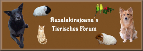 Banner Forum